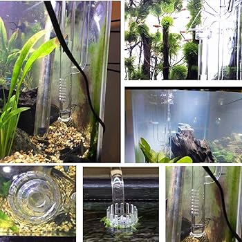 水槽セット 透明ガラス製 フィルター付き Amazon | 水族館 水槽円筒形透明ガラス水族館タンク厚みのある